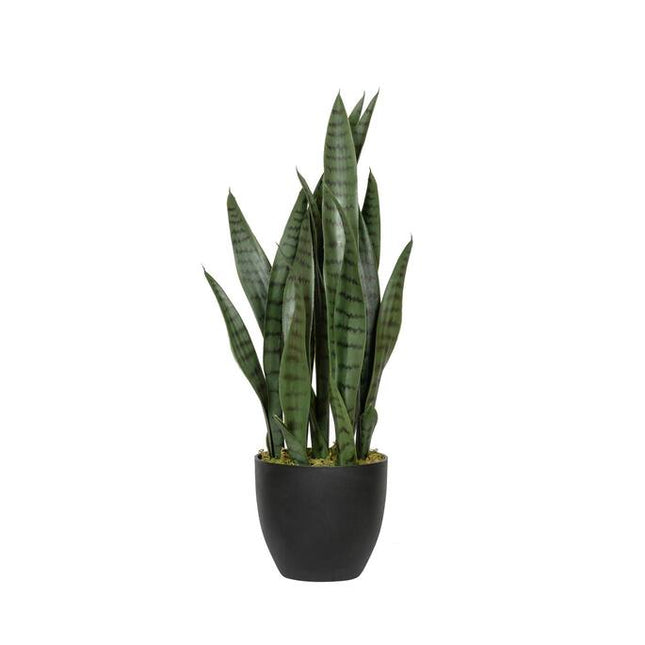 Kunstplant Sansevieria - ↕70cm