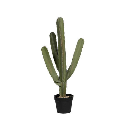 Kunstplant Cactus Cereus - ↕55cm
