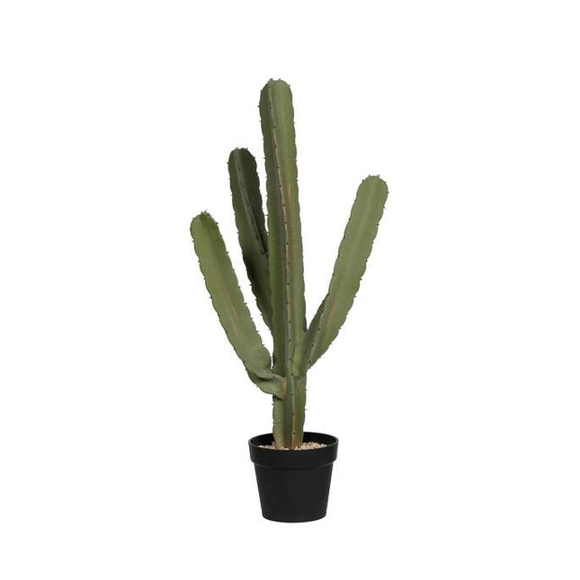 Kunstplant Cactus Cereus - ↕55cm