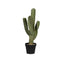 Kunst Cactus