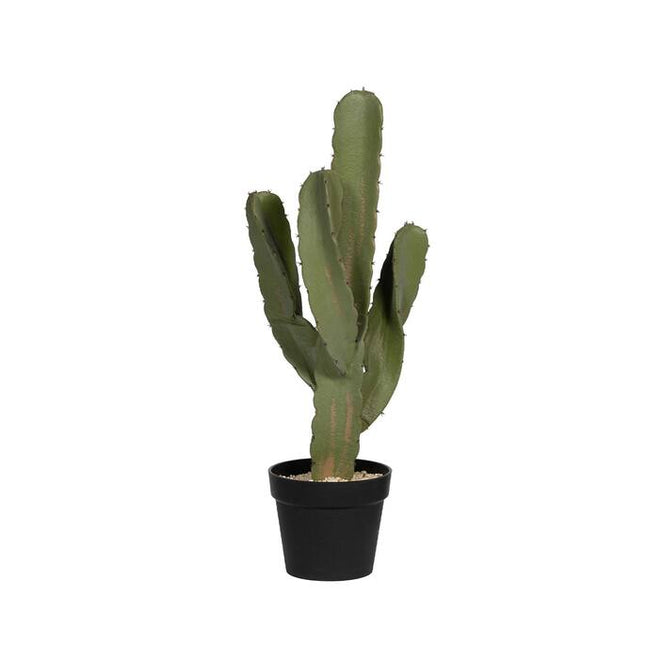 Kunstplant Cactus Cereus - ↕72cm
