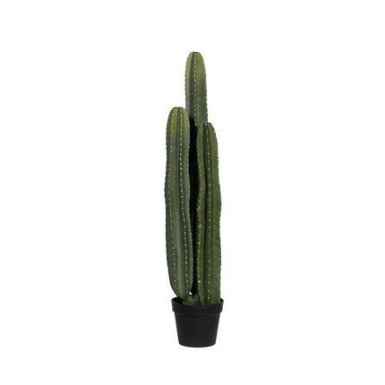 Kunstplant Cactus San Pedro XL - ↕100cm