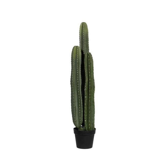 Kunstplant Cactus San Pedro XL - ↕100cm