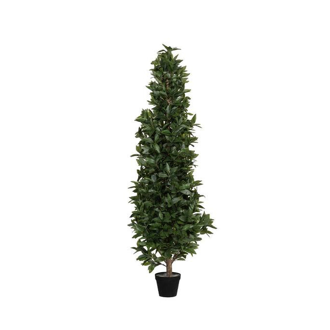 Kunstplant Laurier - ↕150cm