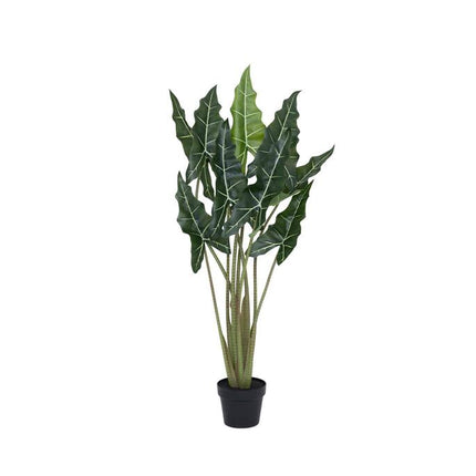 Kunstplant Alocasia Taro - ↕120cm