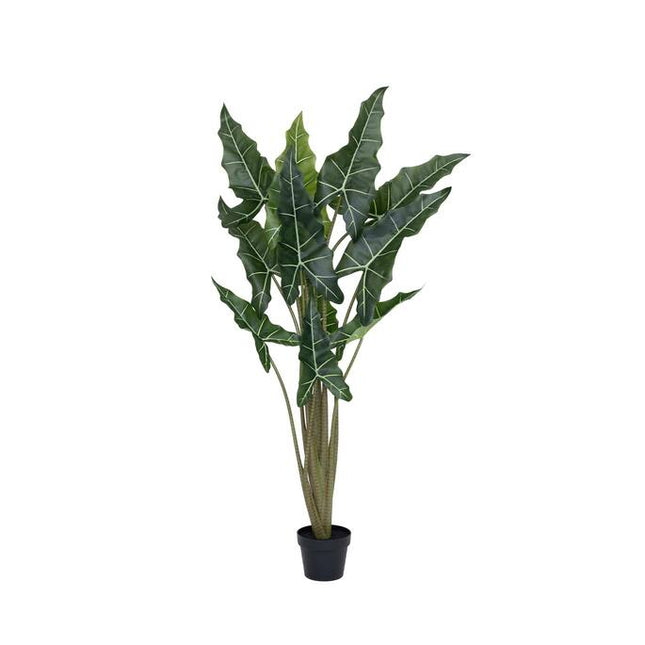 Kunstplant Alocasia Taro - ↕140cm