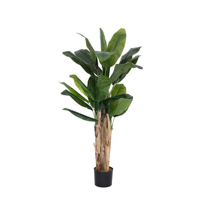 Kunstplant Bananenplant - ↕160cm