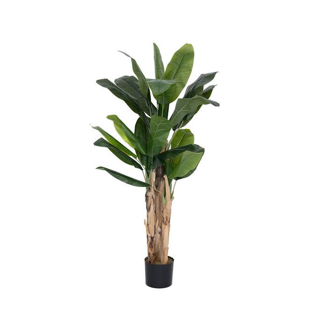 Kunstplant Bananenplant - ↕160cm