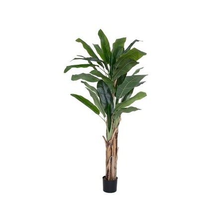 Kunstplant Bananenplant - ↕205cm