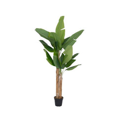 Collection image for: Kunst Bananenplant