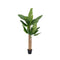 Kunst Bananenplant