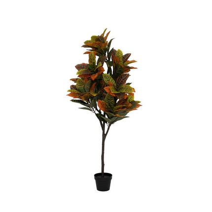 Plante artificielle Codiaeum - ↕150cm