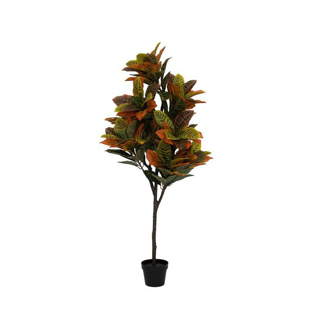 Kunstplant Codiaeum - ↕150cm