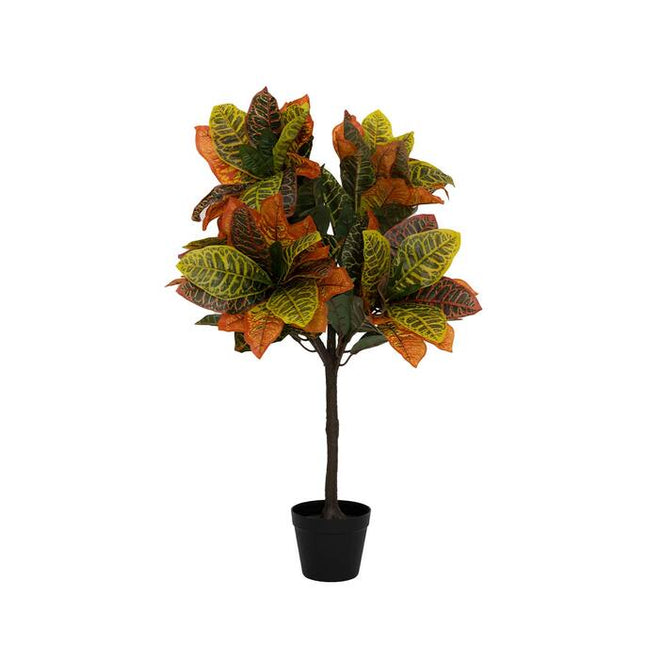 Kunstplant Codiaeum - ↕80cm