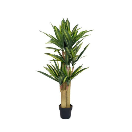 Kunstplant Dracaena - ↕145cm