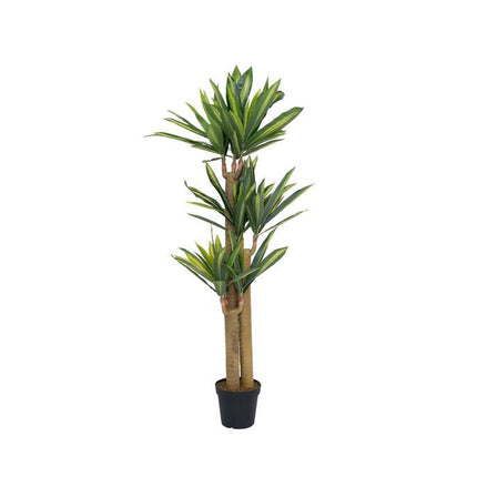 Kunstig plante Dracaena - ↕180cm