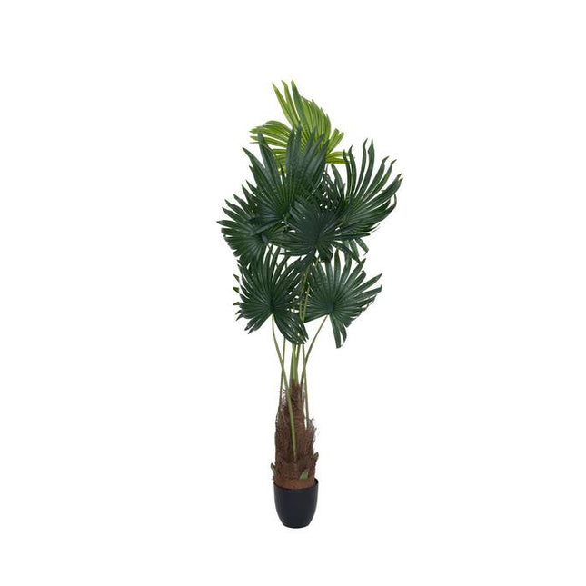 Kunstplant Palmboom - ↕160cm