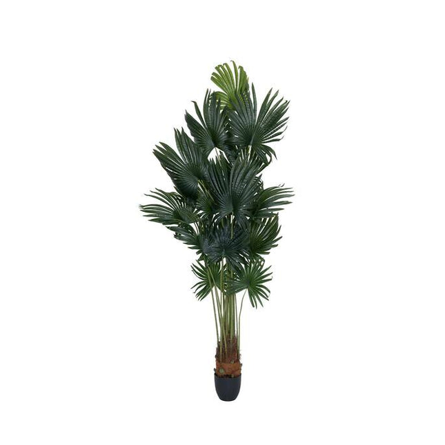 Kunstplant Palm XXL - ↕220cm
