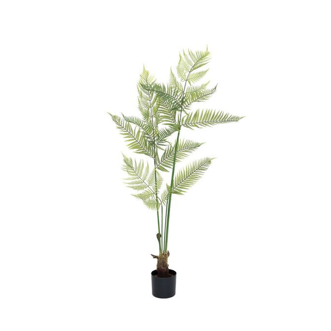 Kunstplant Varen - ↕150cm