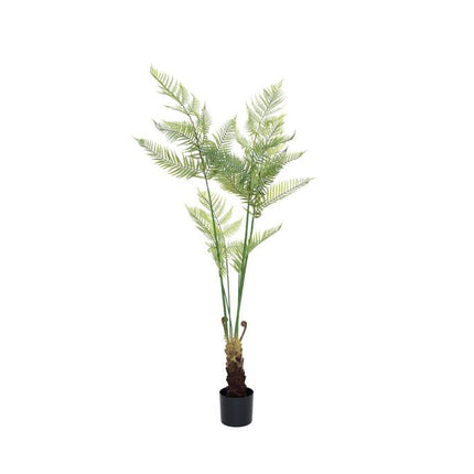 Kunstplant Varen - ↕180cm