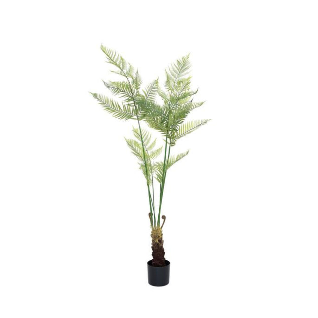 Kunstplant Varen - ↕180cm