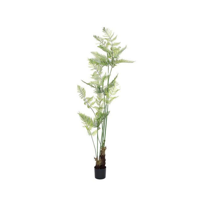Kunstplant Varen - ↕210cm