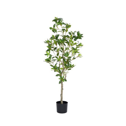 Kunstplant Pieris - ↕125cm