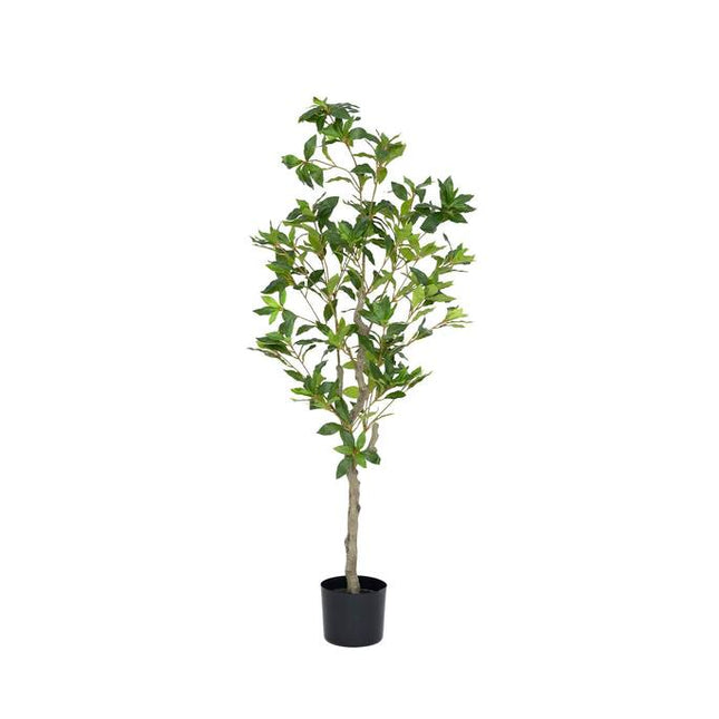 Kunstplant Pieris - ↕125cm