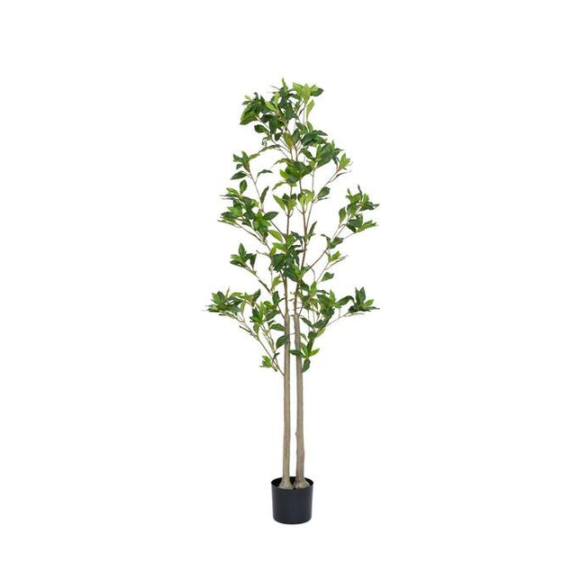 Kunstplant Pieris - ↕145cm