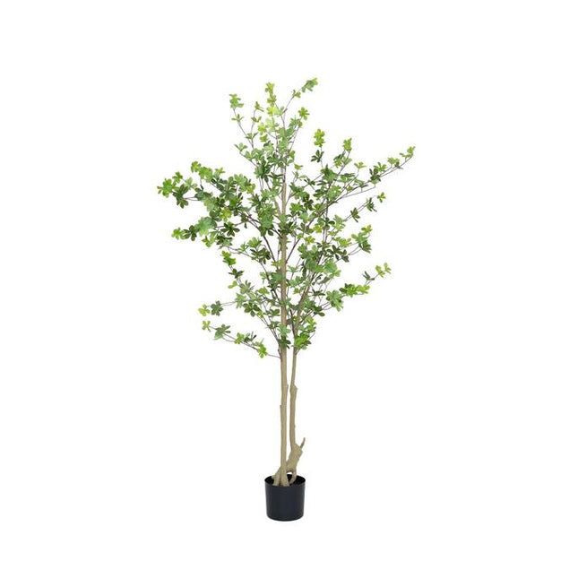 Kunstplant Enkianthus perulatus - ↕180cm