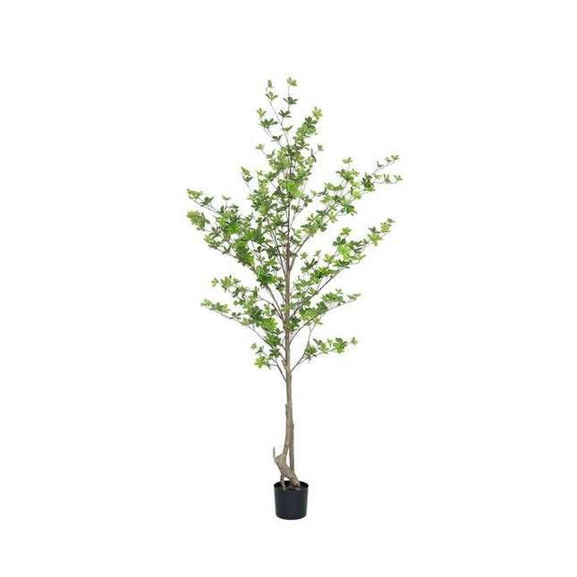 Kunstplant Enkianthus perulatus - ↕210cm