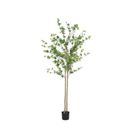Kunstplant Enkianthus perulatus - ↕240cm