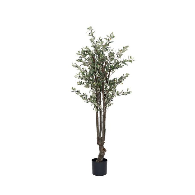 Kunstplant Olijfboom - ↕153cm