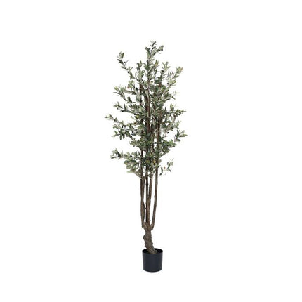 Kunstplant Olijfboom - ↕180cm