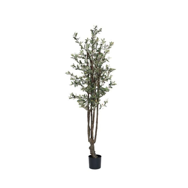 Kunstplant Olijfboom - ↕180cm