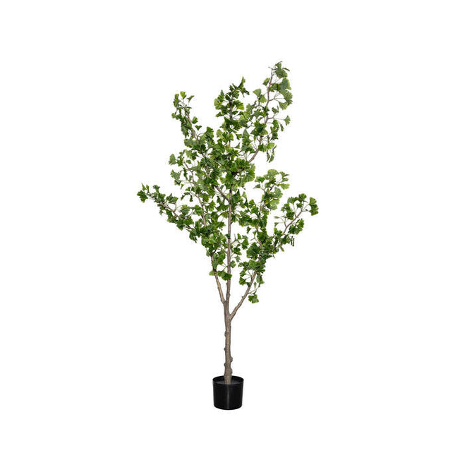 Kunstplant Ginkgo biloba boom - ↕180cm