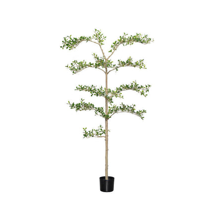 Kunstplant Buchida Buceras Shady Lady Tree - ↕180cm