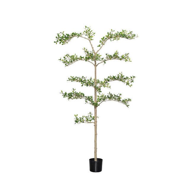Kunstplant Buchida Buceras Shady Lady Tree - ↕180cm