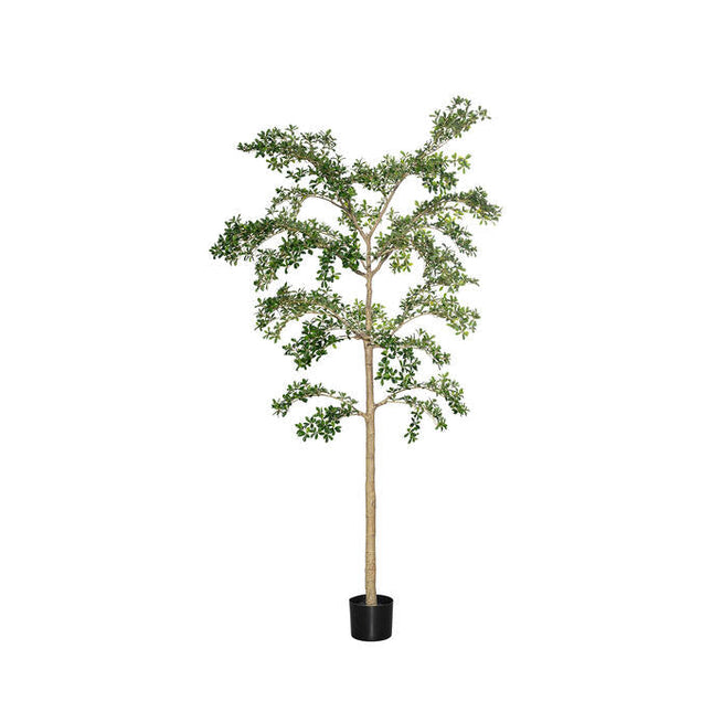 Kunstplant Buchida Buceras Shady Lady Boom - ↕390cm