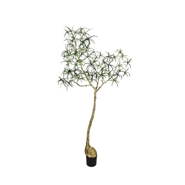 Kunstplant Queensland flesboom - ↕200cm