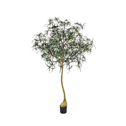 Kunstplant Queensland flesboom - ↕240cm