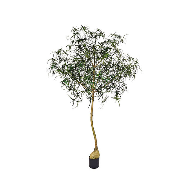 Kunstplant Queensland flesboom - ↕240cm