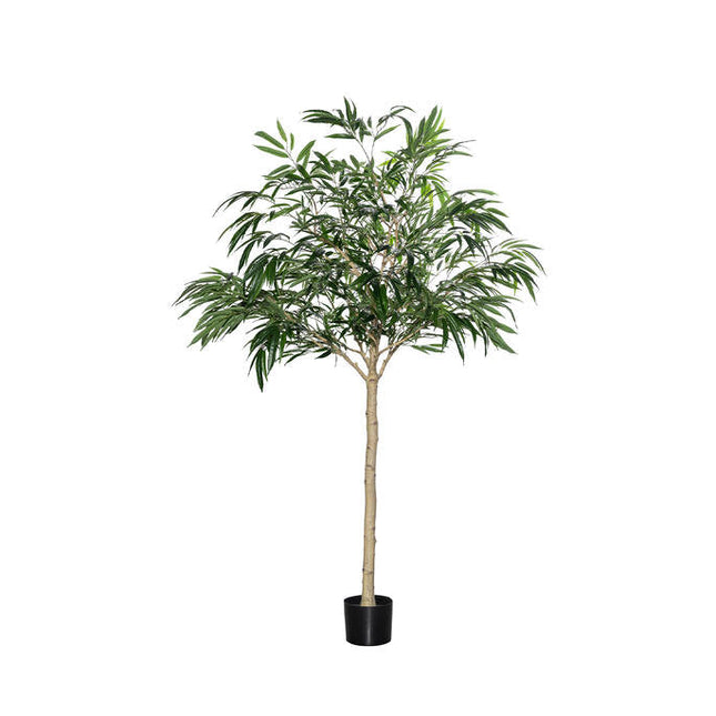 Kunstplant Ficus Alii‑boom - ↕230cm