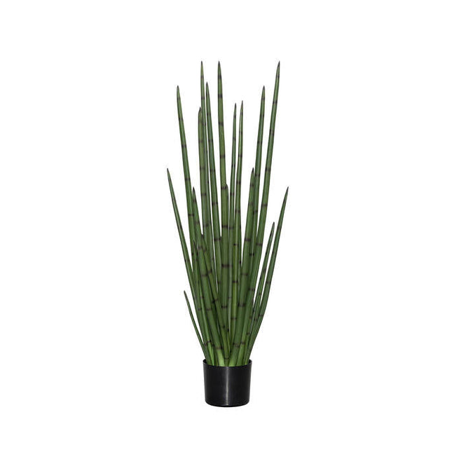 Kunstplant Sansevieria Cylindrica - ↕120cm