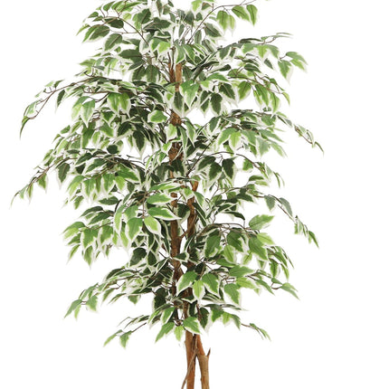 Kunstplant Ficus - ↕140cm