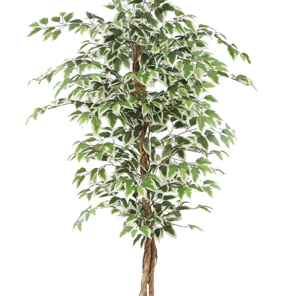 Kunstplant Ficus - ↕160cm