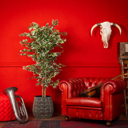 Kunstplant Ficus - ↕160cm