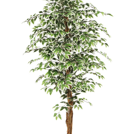 Kunstplant Ficus - ↕180cm