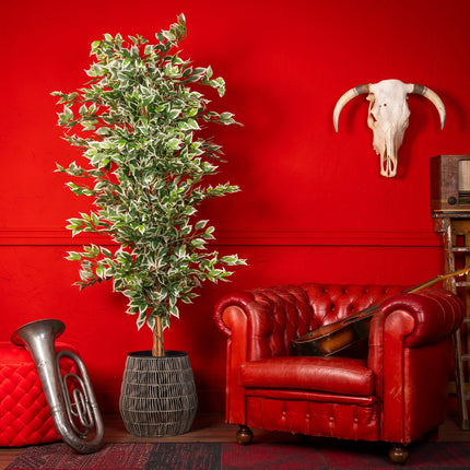 Kunstplant Ficus - ↕180cm