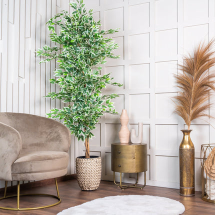 Kunstplant Ficus - ↕180cm